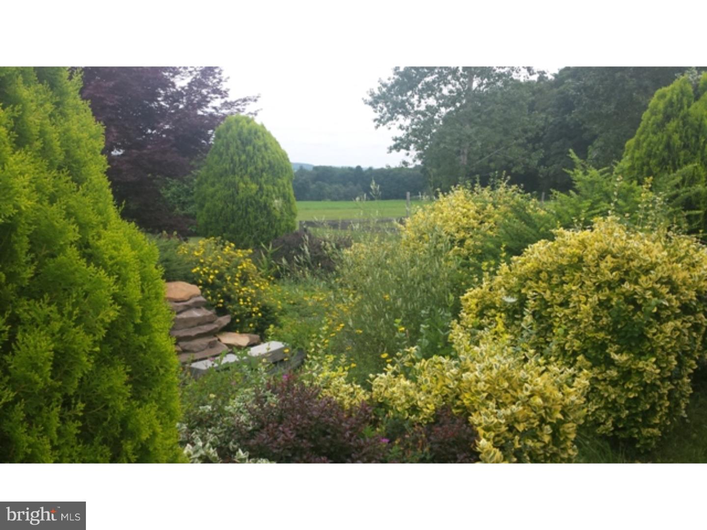 147 Fox Road Schuylkill Haven, PA 17972 - Photo 22 of 22 Garden