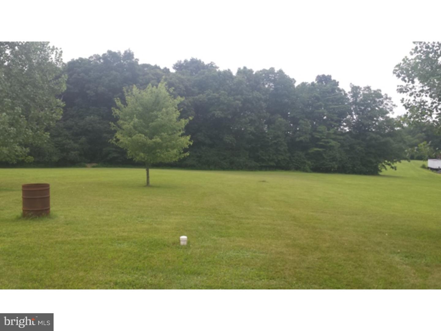 147 Fox Road Schuylkill Haven, PA 17972 - Photo 4 of 22 Back Yard