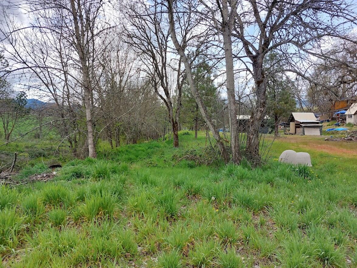 10101 Blackwell Road Central Point, OR 97502 - Photo 3 of 30 101013