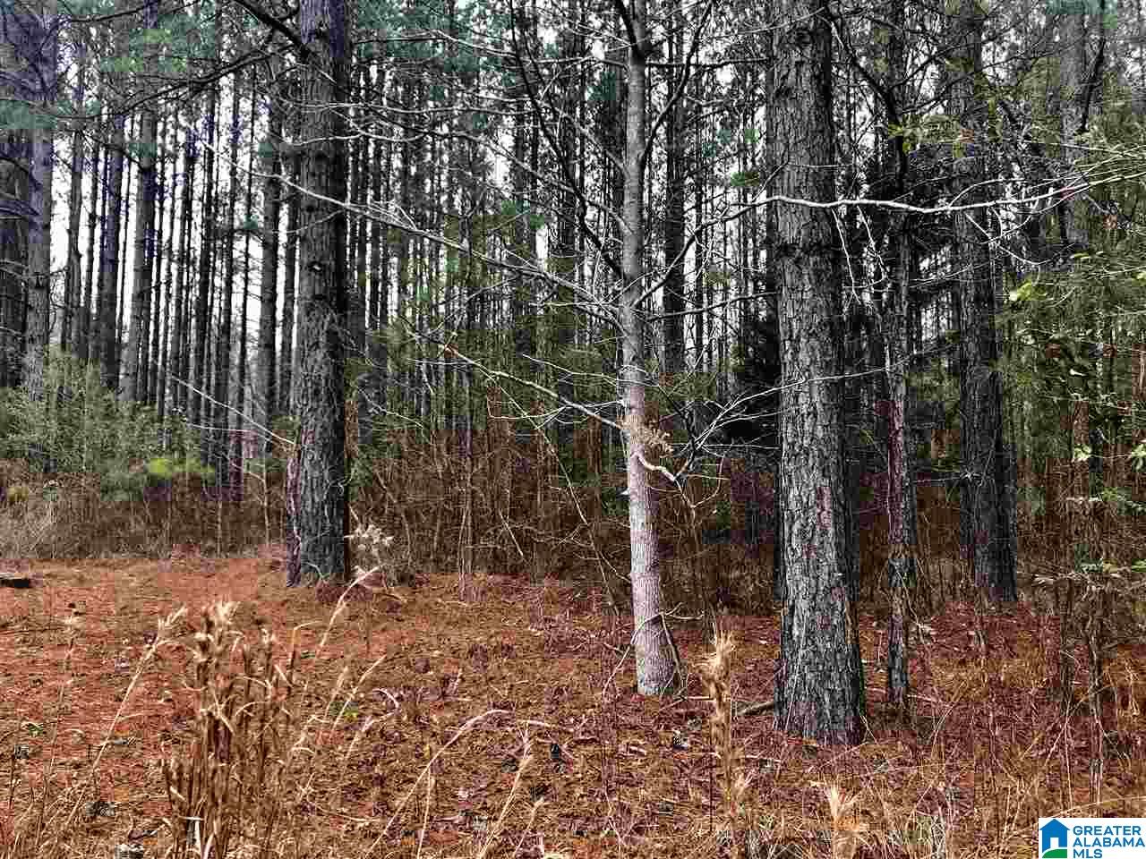 4040 Sportsman Lake Road, Unit 1 Odenville, AL 35120 - Photo 4 of 11
