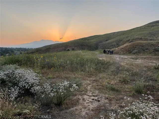 a view of a dry yard with green space