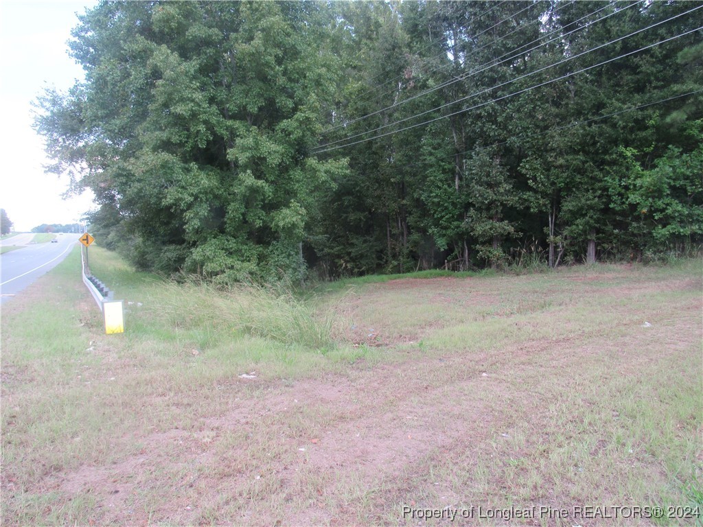 0 Boone Trail Road Sanford, NC 27330 - Photo 4 of 6