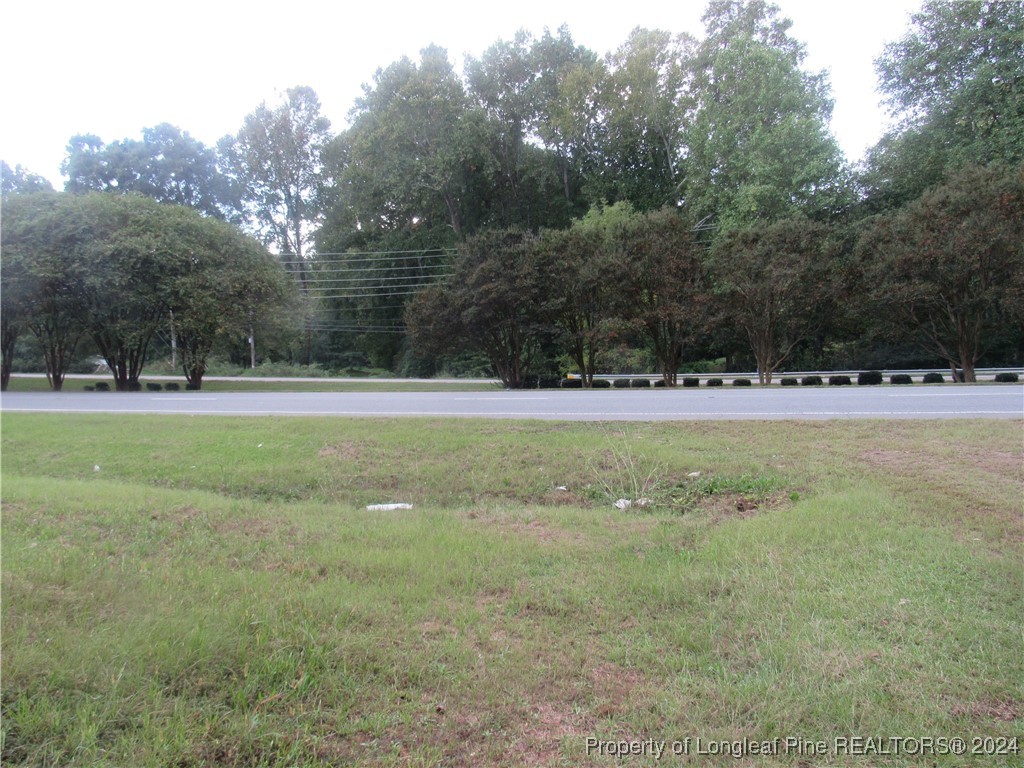 0 Boone Trail Road Sanford, NC 27330 - Photo 6 of 6