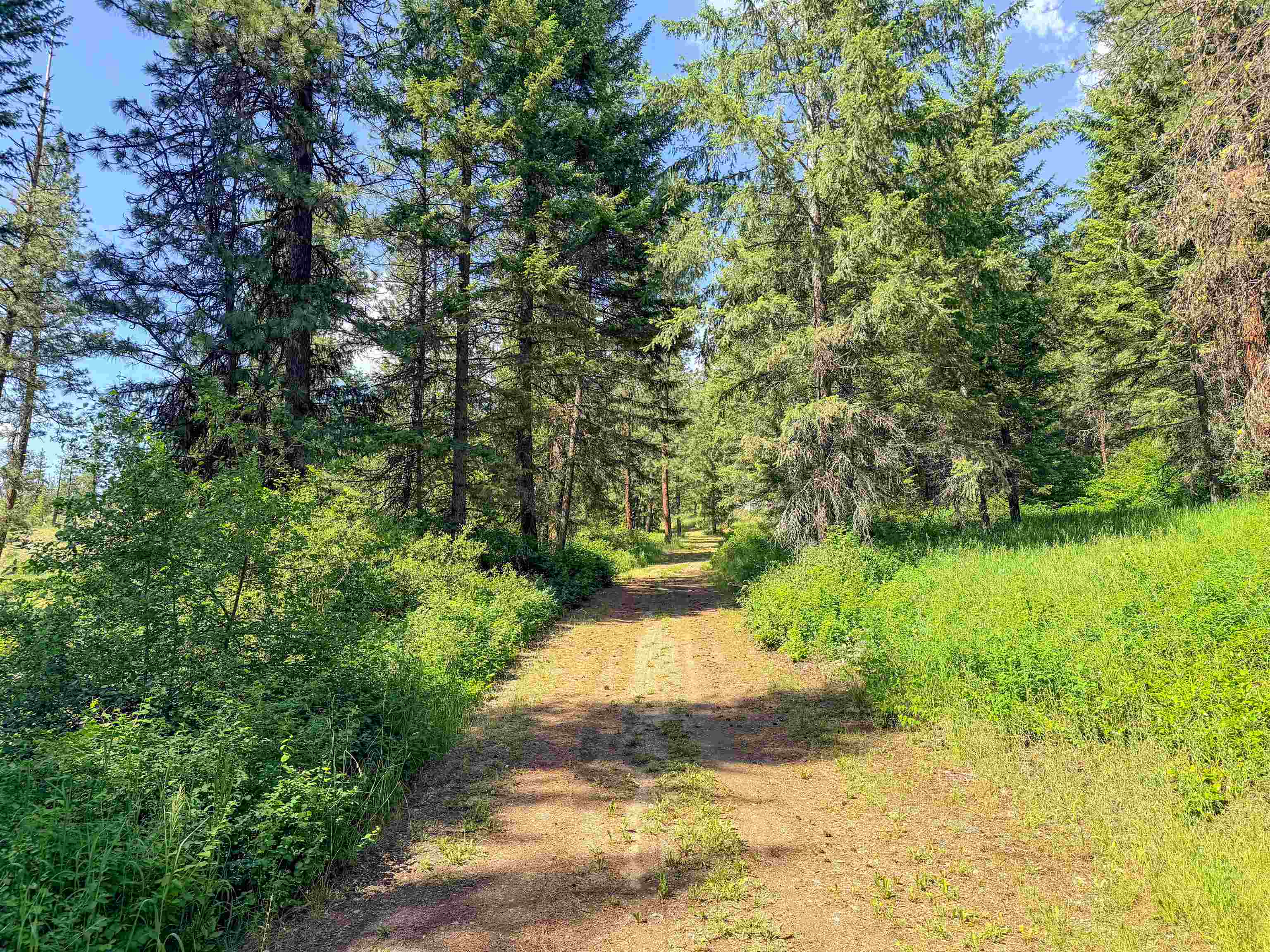 3434 A Rockcut Road Kettle Falls, WA 99141 - Photo 8 of 50