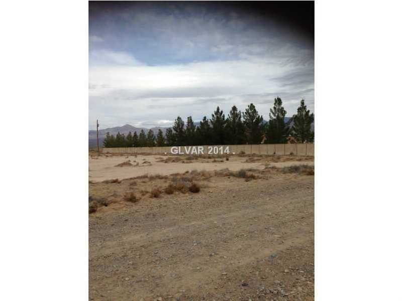 2091 Ricksue Street Pahrump, NV 89060 - Photo 4 of 8 Property Photo.