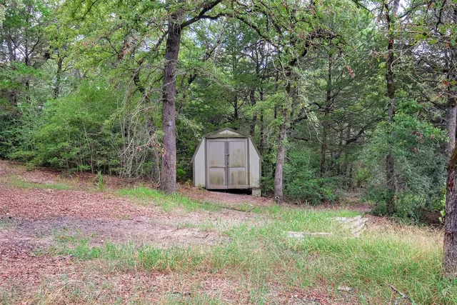a backyard of a house with large trees and plants