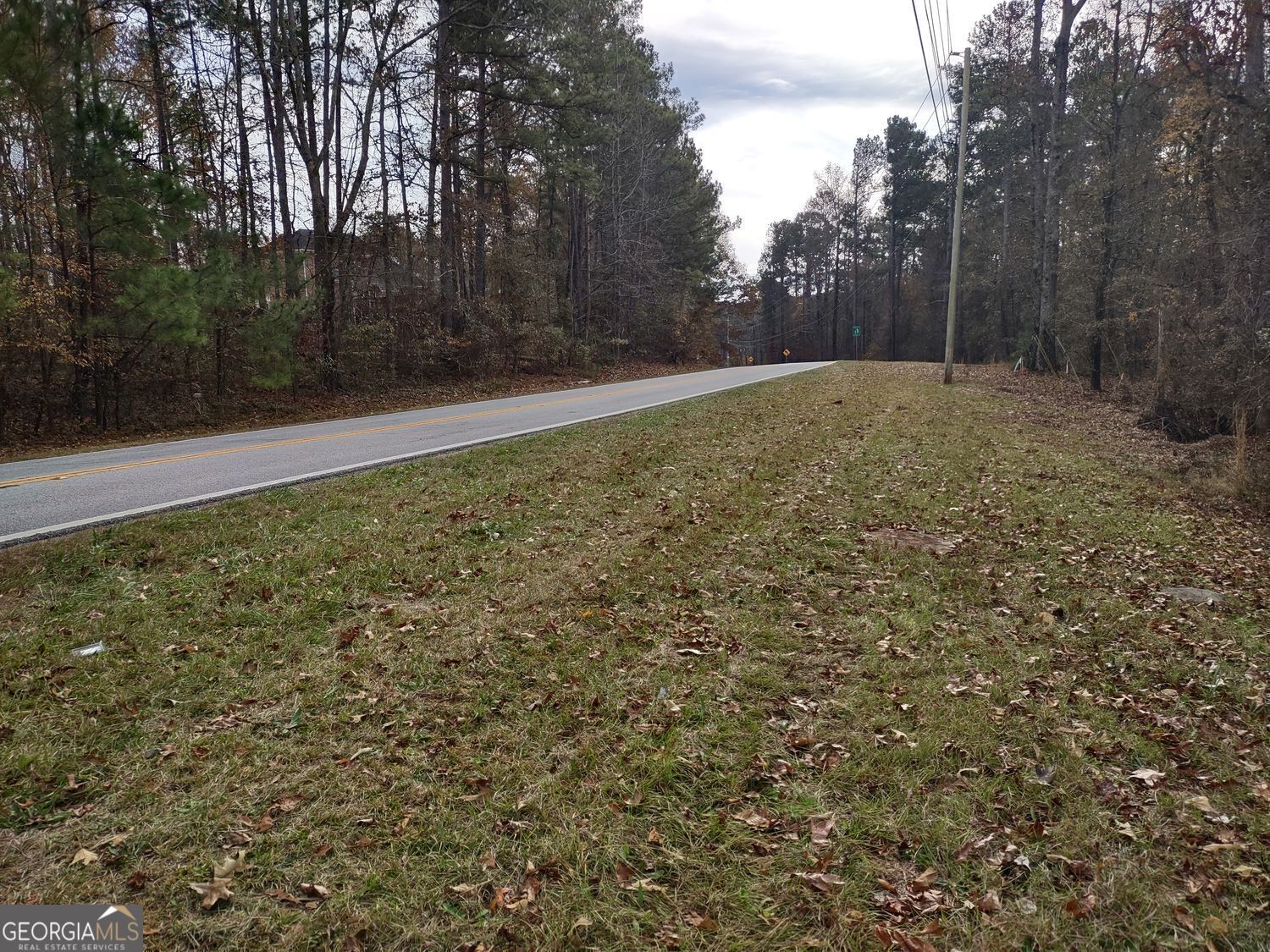 12371 Panhandle Road, Unit LOT 3 Hampton, GA 30228 - Photo 32 of 41 a backyard of a house with lots of green space