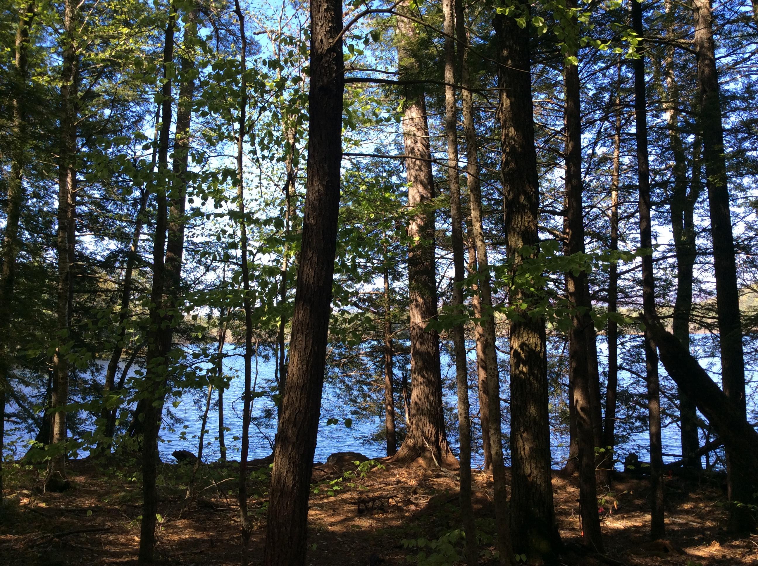 2 North Lower Bay Road Lovell, ME 04051 - Photo 5 of 10 IMG_5479