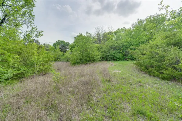 a view of a green field with lots of bushes