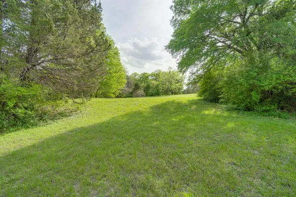 a view of a yard with large trees