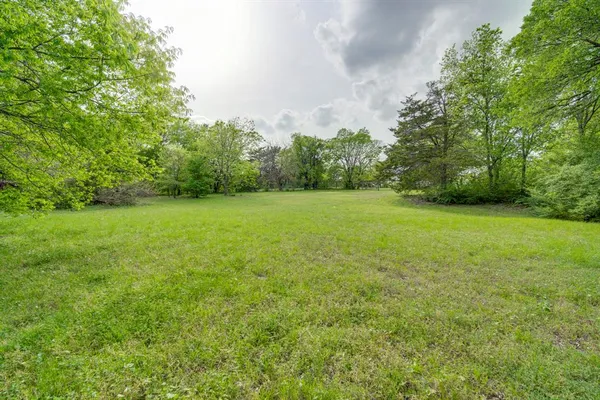 a view of a big yard with plants and large trees