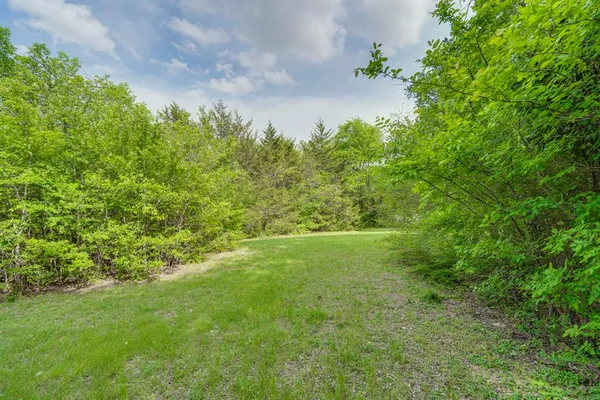a view of a yard with plants and a bench