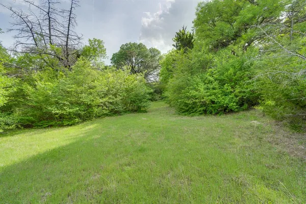 a view of a big yard with large trees