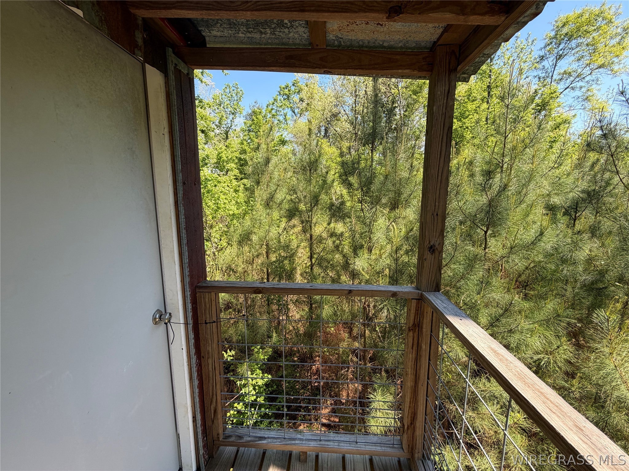 0 Leon Tower Road Dozier, AL 36028 - Photo 22 of 26 Gallery Image 22