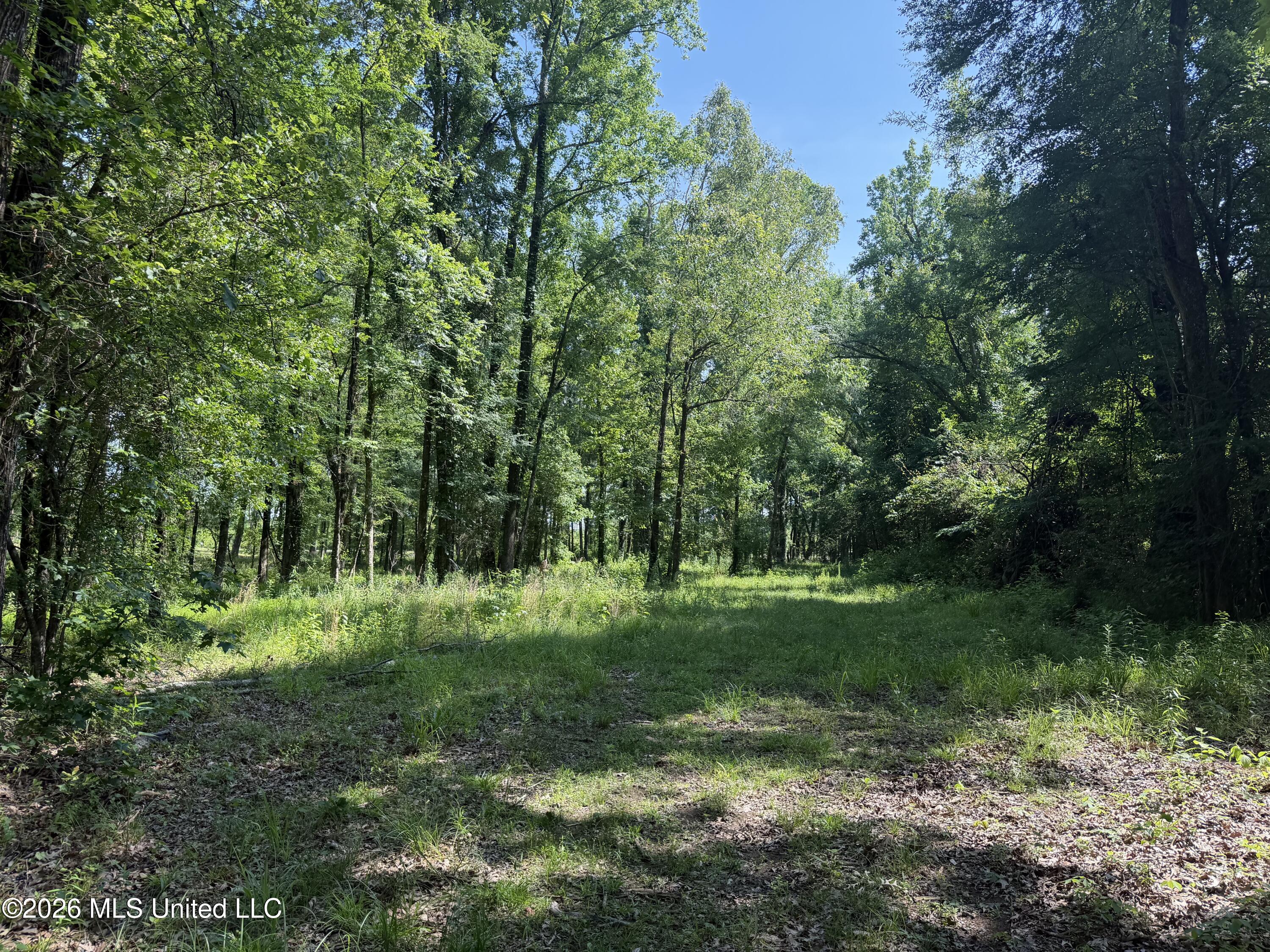 512 Ratliff Ferry Road Canton, MS 39046 - Photo 18 of 42 Photo Jun 02 2026, 3 52 58 PM
