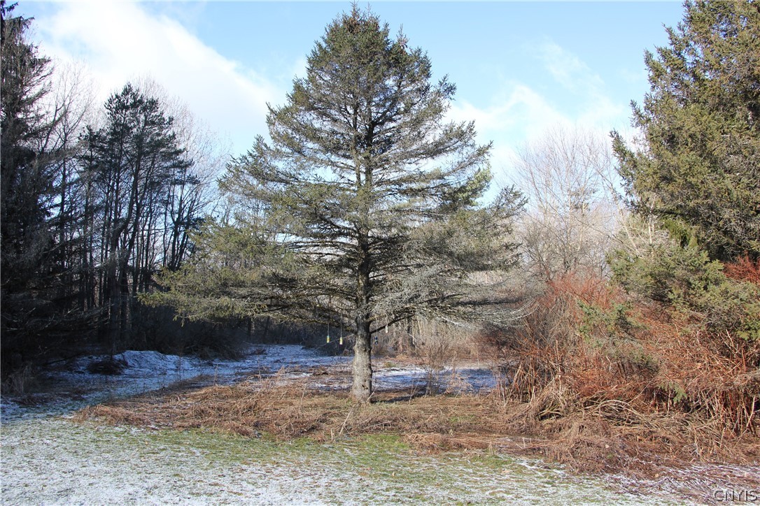 2841 Johnny Cake Hill Road Madison, NY 13346 - Photo 5 of 35