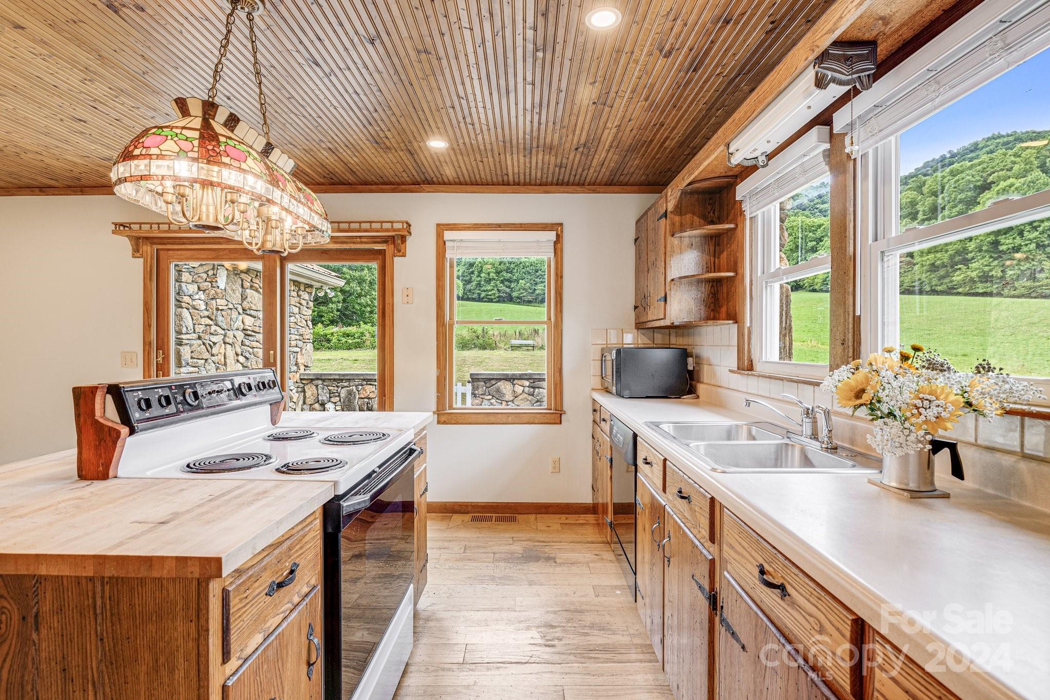 301 South Fork Road Marshall, NC 28753 - Photo 16 of 48 Gallery Image 16