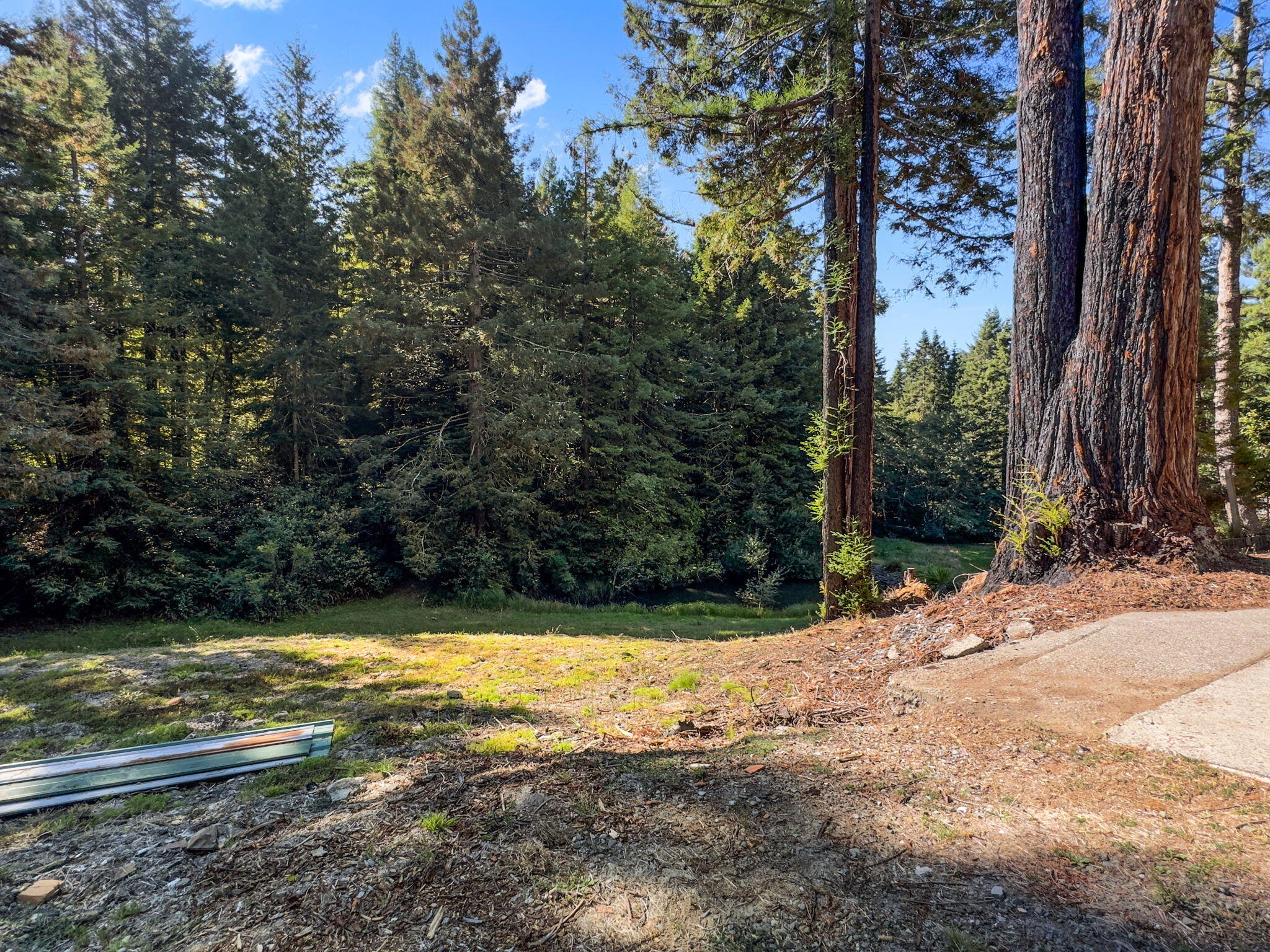 7097 Fickle Hill Road Arcata, CA 95521 - Photo 24 of 43