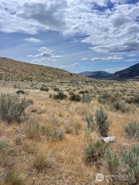 0 Lot 1 Bill Shaw Road Pateros, WA 98846 - Photo 10 of 23