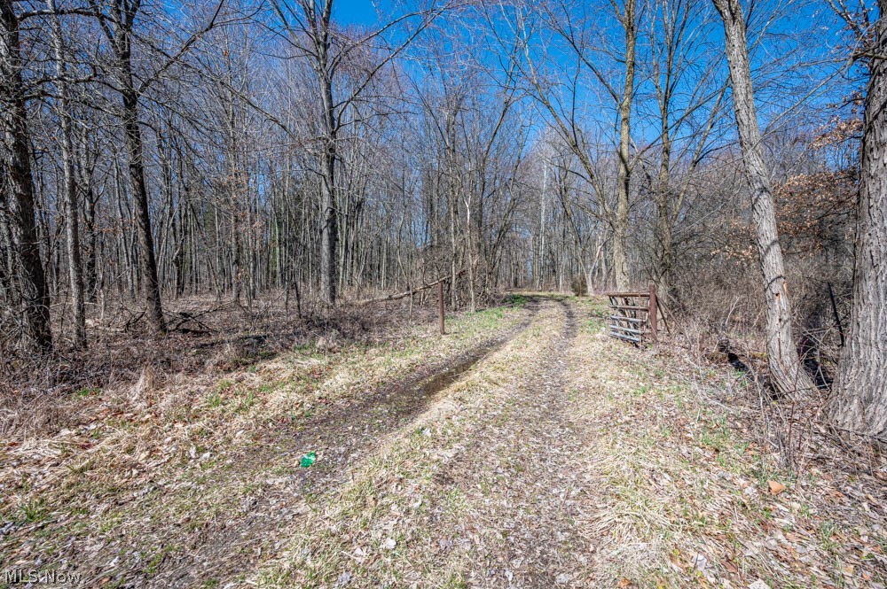 705 Carson Salt Springs Road Mineral Ridge, OH 44440 - Photo 13 of 14 Gallery Image 13