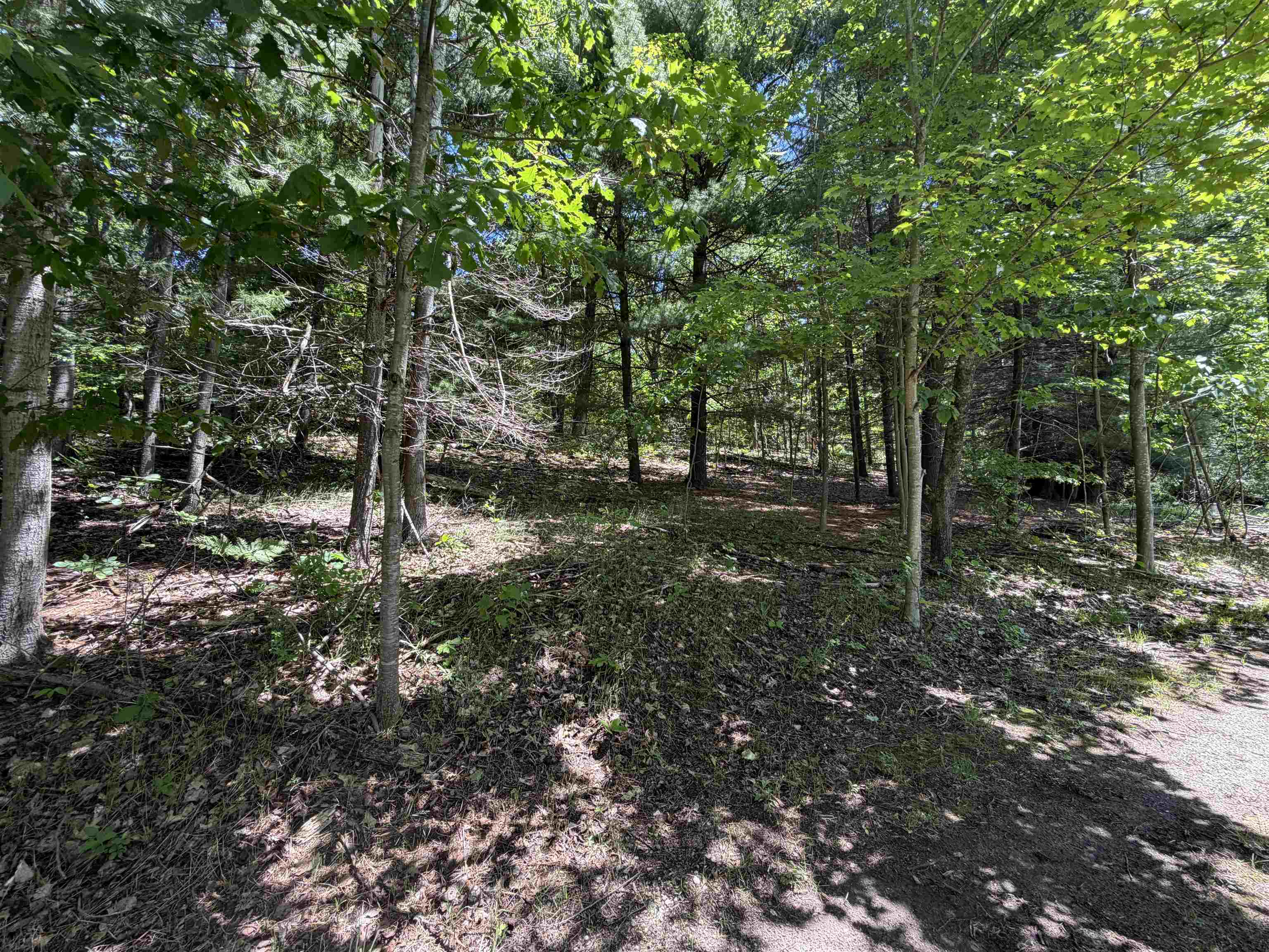6263 East Jordan Road Ellsworth, MI 49729 - Photo 38 of 40