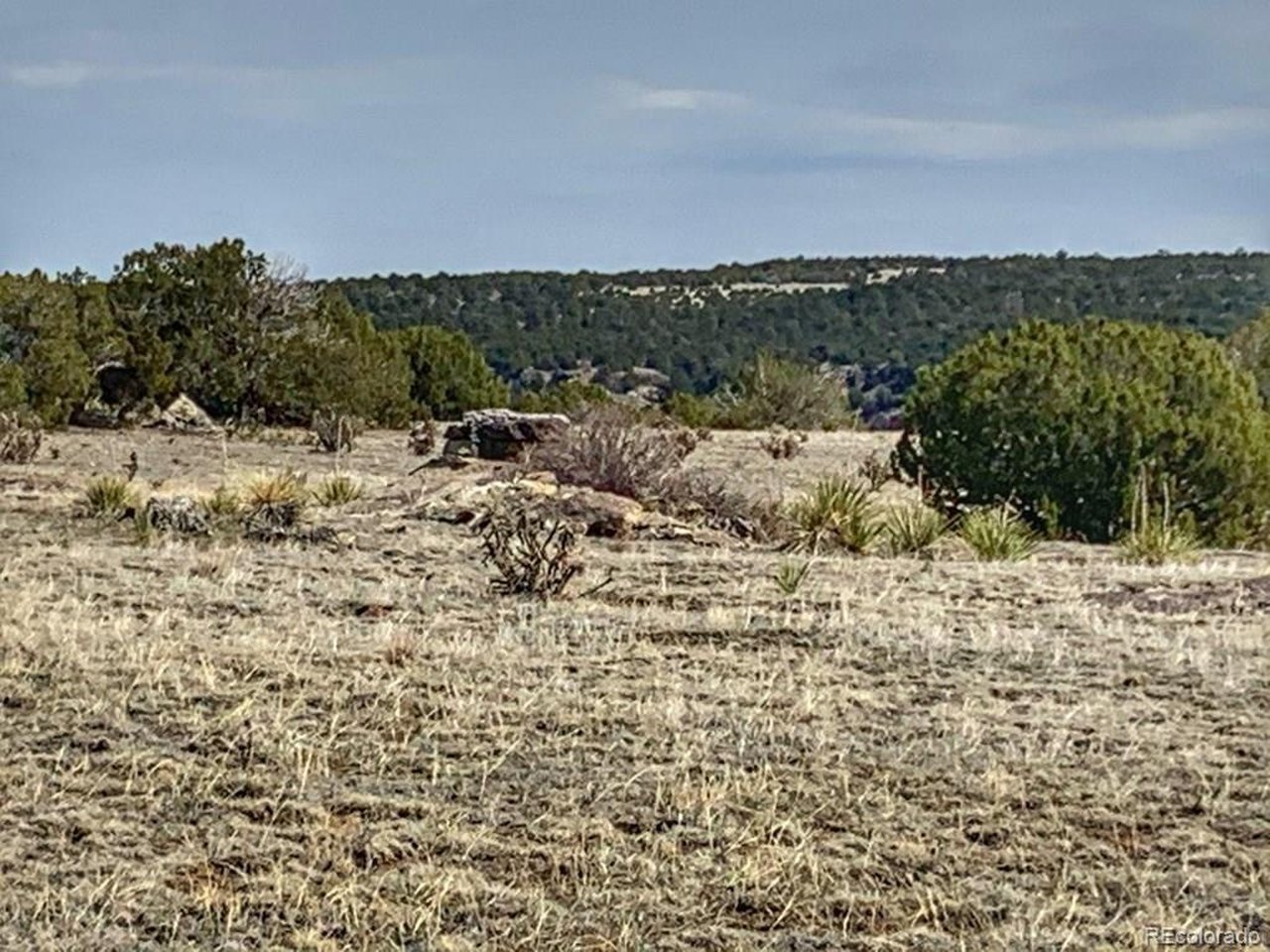 80 Turkey Ridge Ranch Walsenburg, CO 81089 - Photo 3 of 7 a view of a lake view