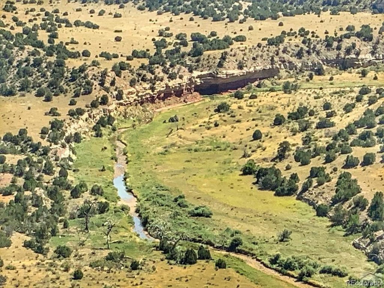 80 Turkey Ridge Ranch Walsenburg, CO 81089 - Photo 5 of 7