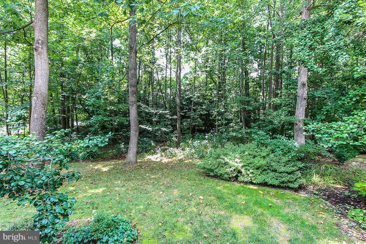 1586 Brass Lantern Way Reston, VA 20194 - Photo 28 of 29 Exterior (Rear)