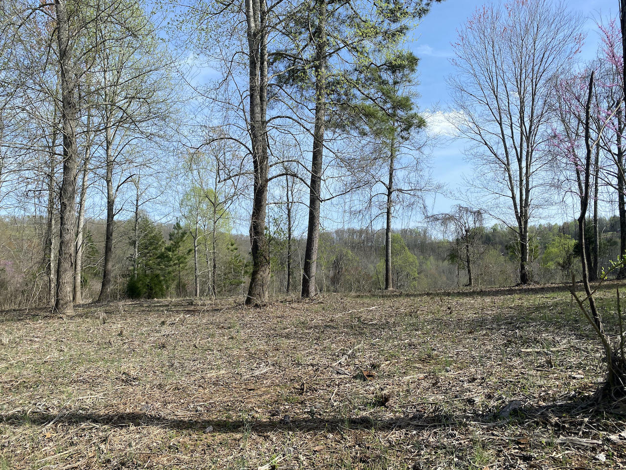 Dawn Dr Spring Spring City, TN 37381 - Photo 2 of 15 IMG_0870