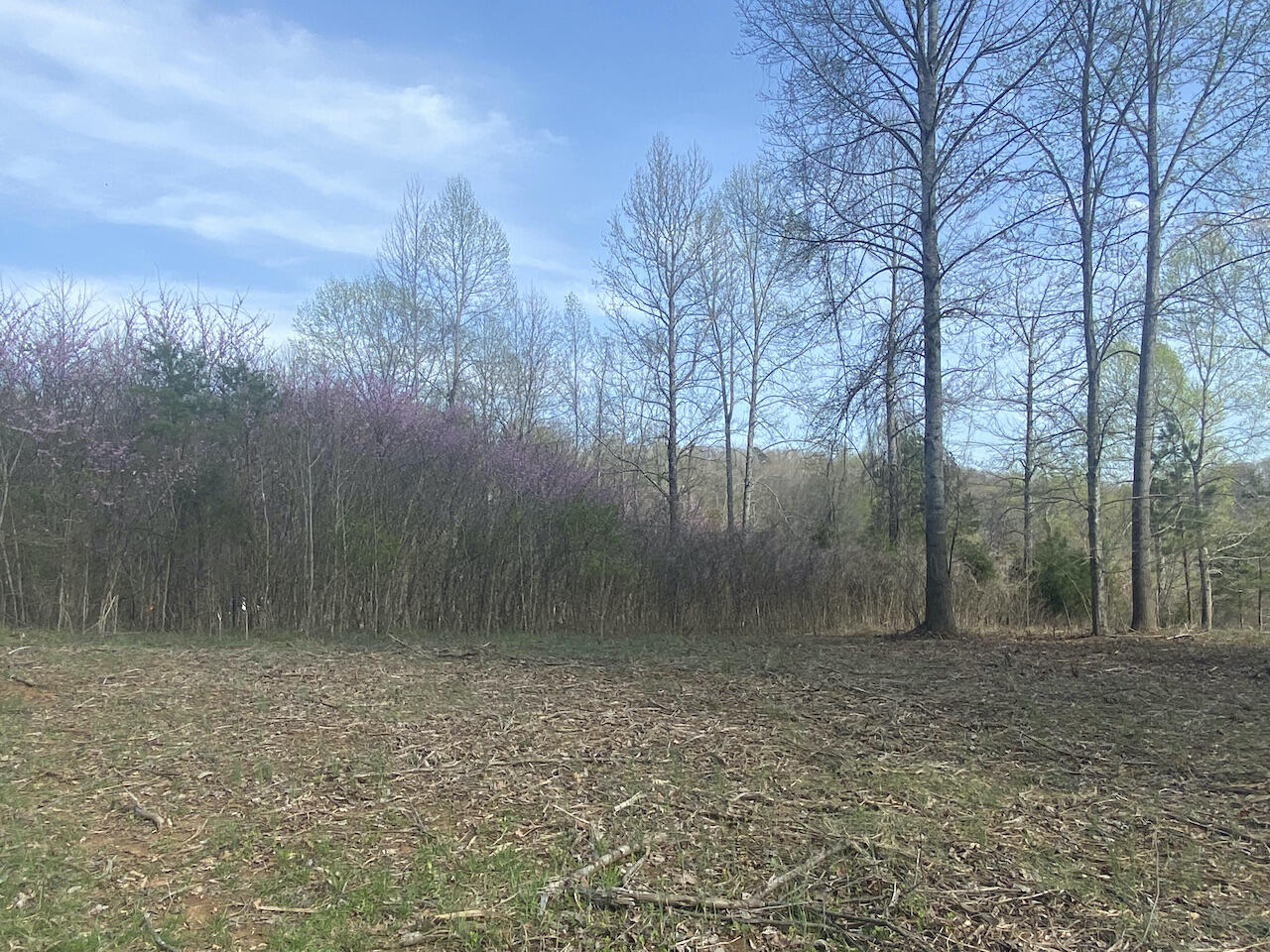 Dawn Dr Spring Spring City, TN 37381 - Photo 15 of 15 IMG_0883