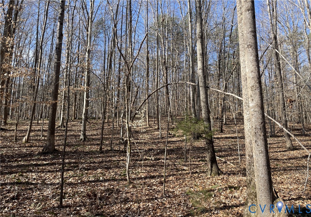 8.2-ac Plantersville Road Drakes Branch, VA 23937 - Photo 5 of 9