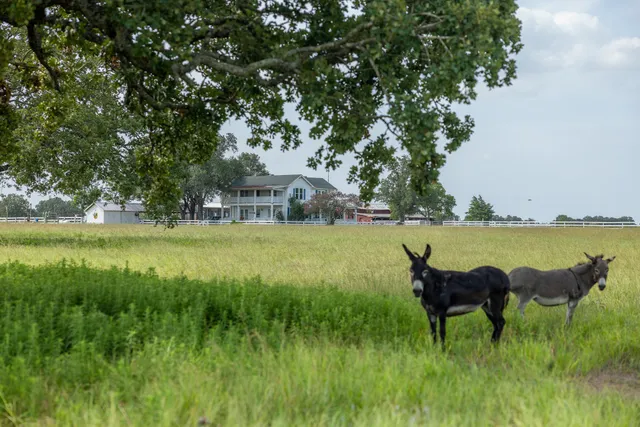 $1,700,000 | 7344 Farm To Market Road 1291, Fayetteville, TX 78940