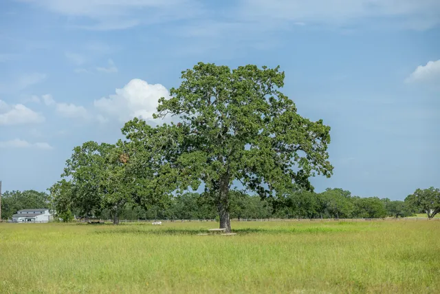 $1,700,000 | 7344 Farm To Market Road 1291, Fayetteville, TX 78940