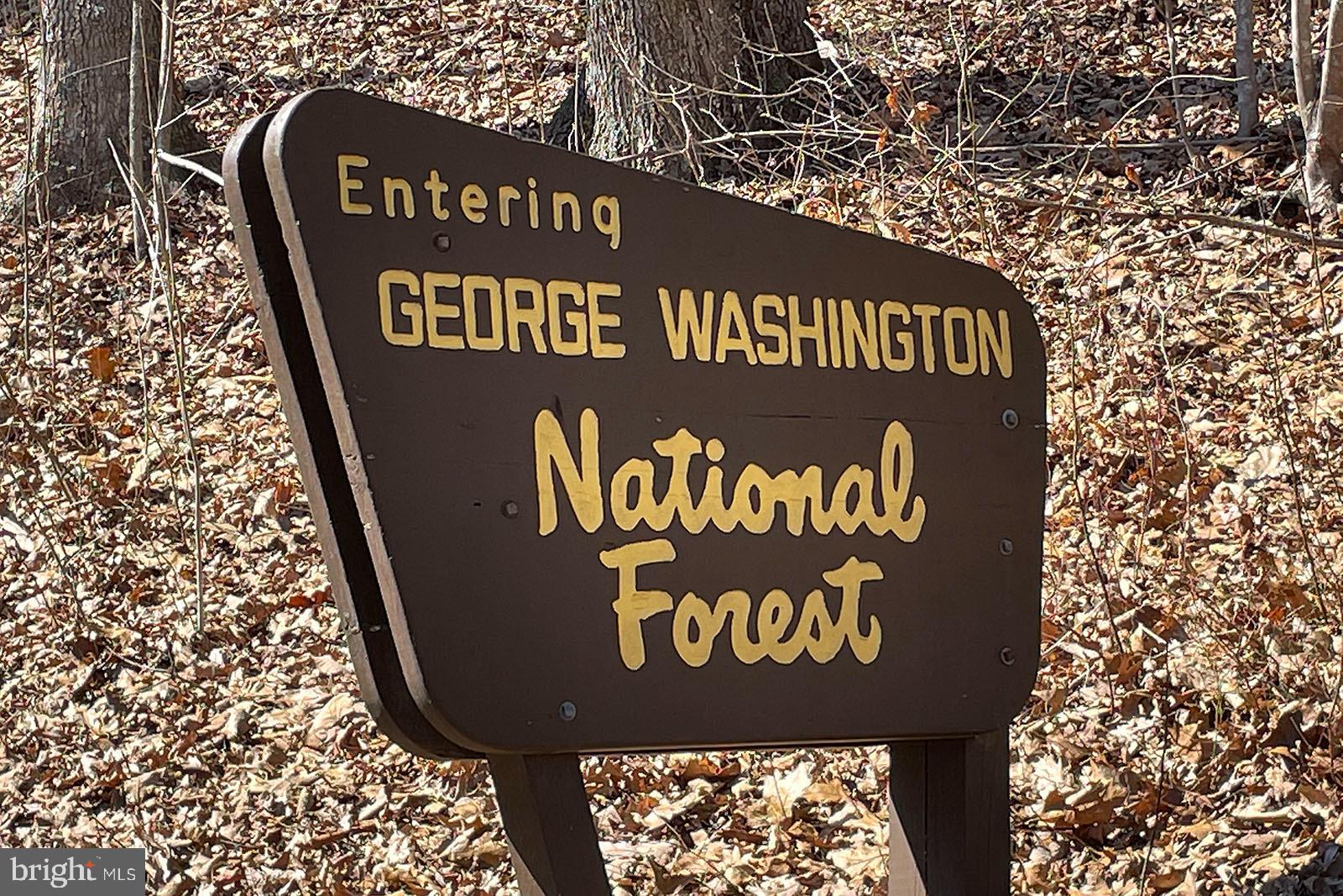 1086 Lower Valley Road Strasburg, VA 22657 - Photo 8 of 45 Nearby National Forest
