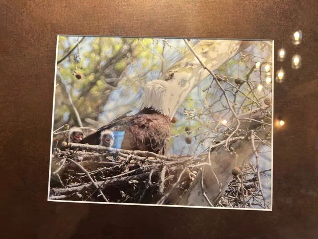 a view of a deck with wooden floor and outdoor space