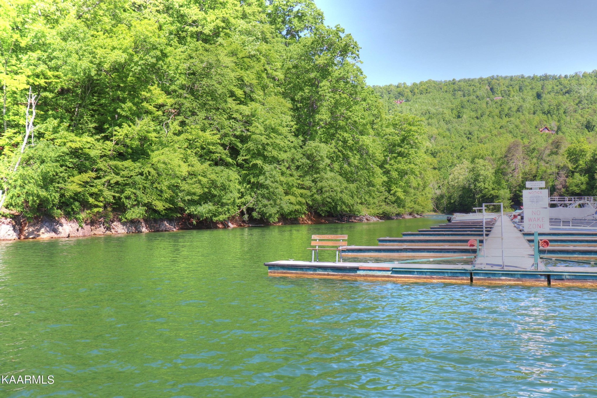 873 Clearwater Road New Tazewell, TN 37825 - Photo 4 of 38
