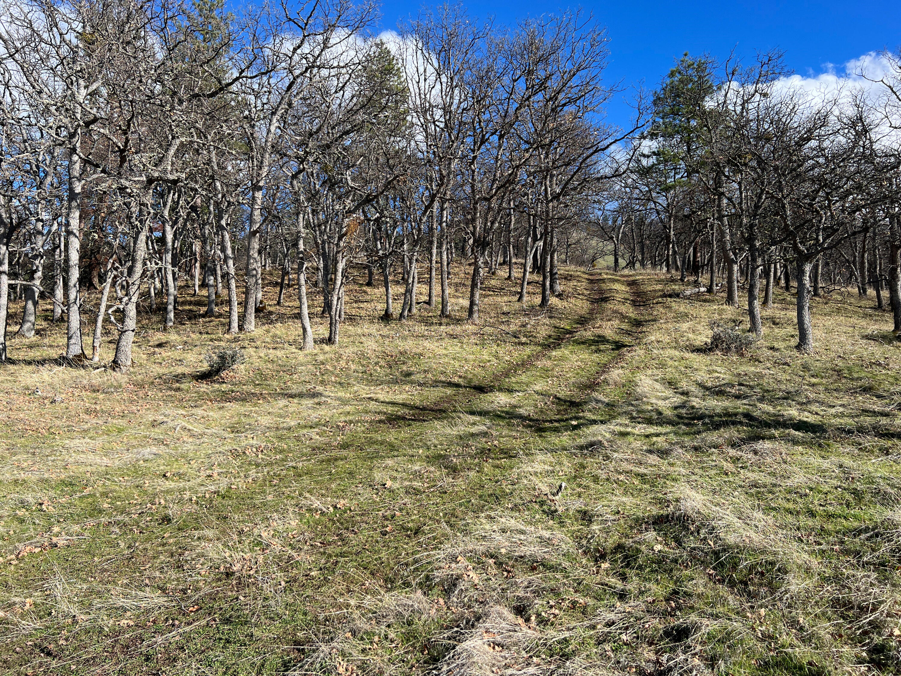 613 Cove Road Ashland, OR 97520 - Photo 15 of 20 Road