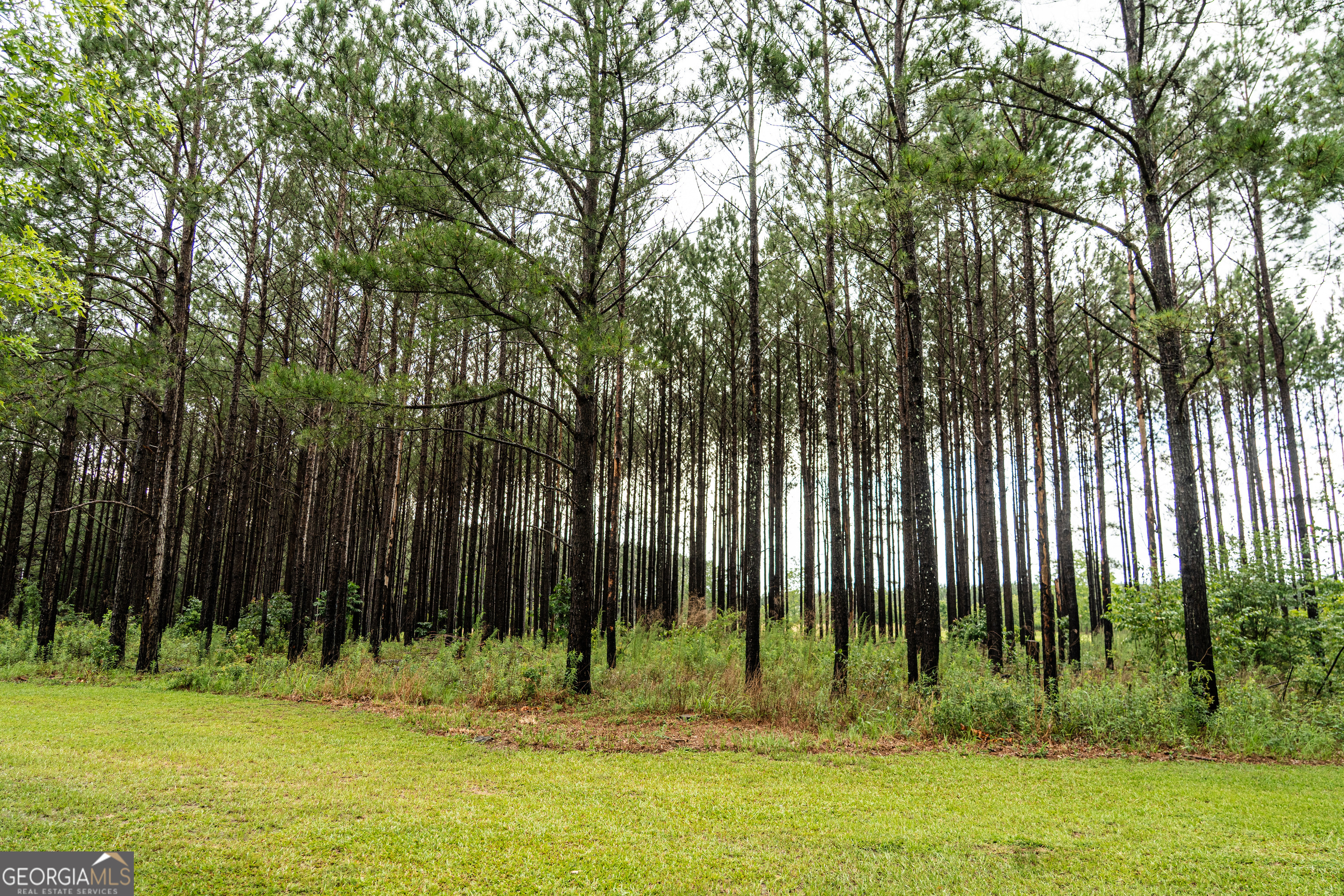 990 Highway 49 Americus, GA 31719 - Photo 17 of 121
