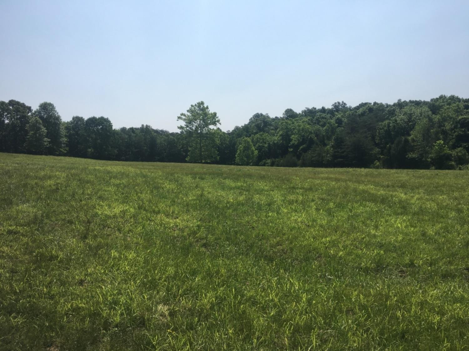 852 Blue Lick Road Berea, KY 40403 - Photo 14 of 14 Listing Photo