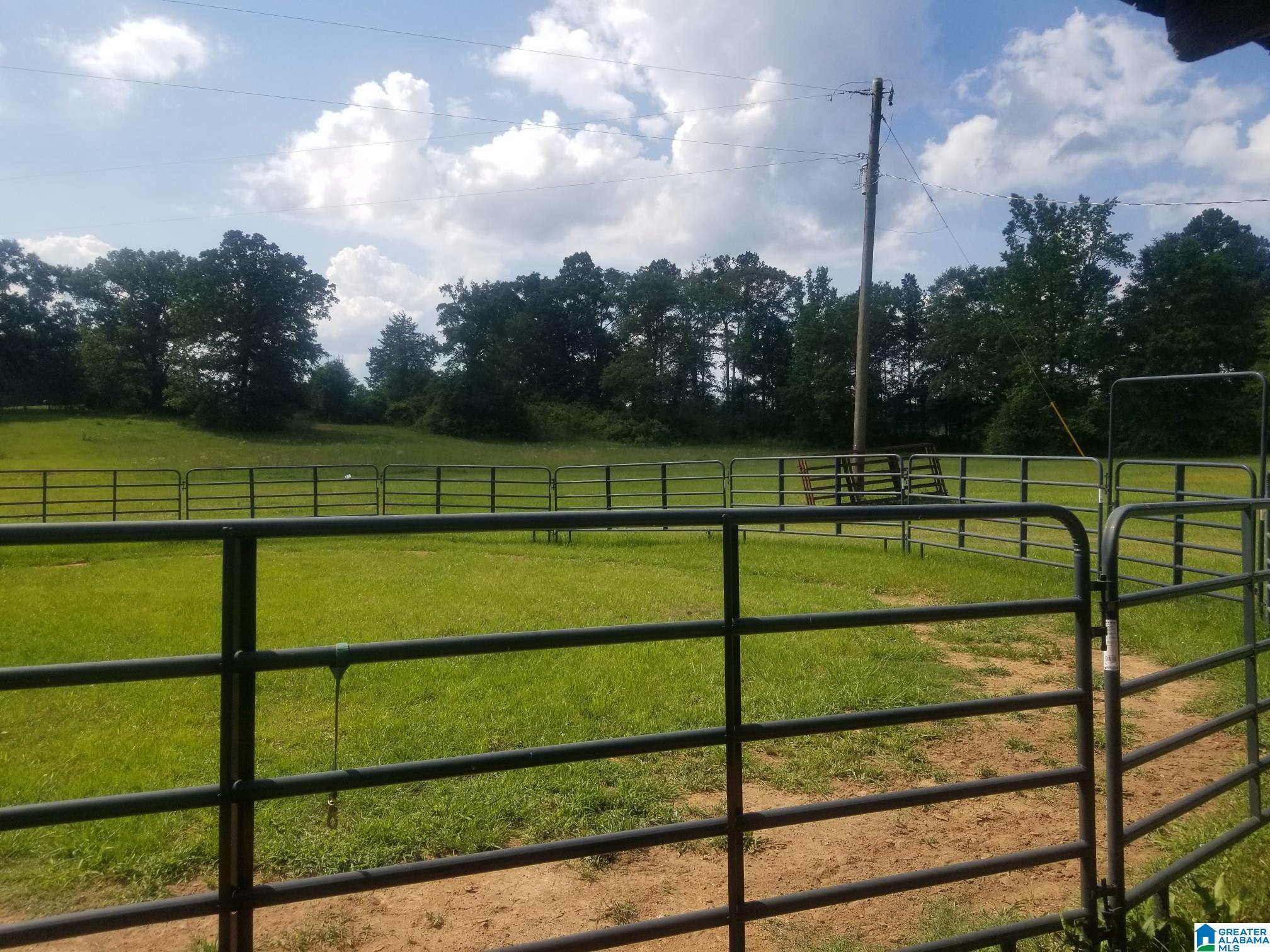 Hamby Road, Unit 1 Cropwell, AL 35054 - Photo 16 of 29