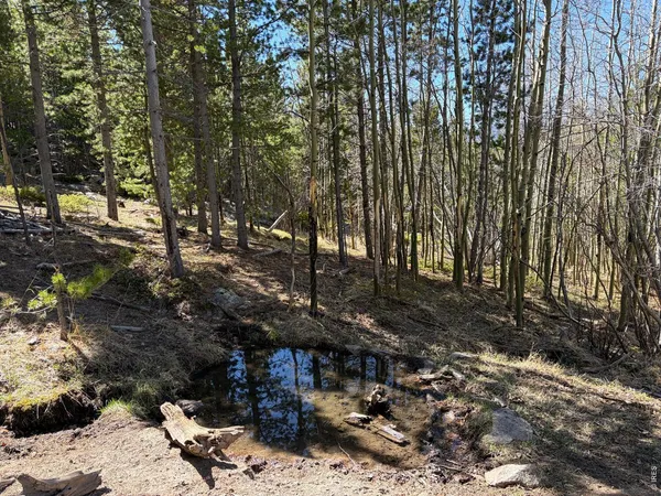 $649,000 | 0 Bear Gulch Road, Red Feather Lakes, CO 80545