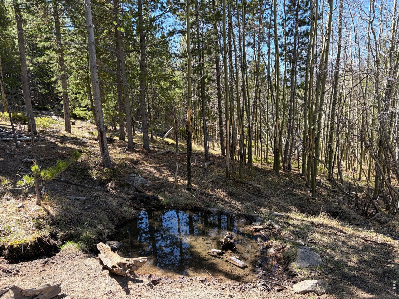 a view of outdoor space with lots of trees