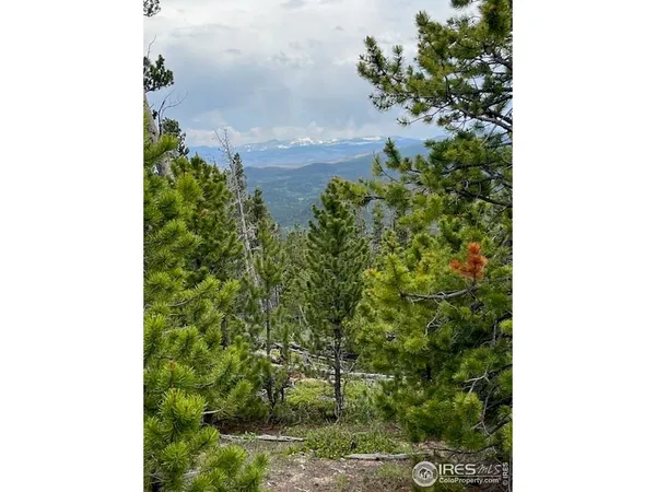 a view of a bench in the backyard of a house