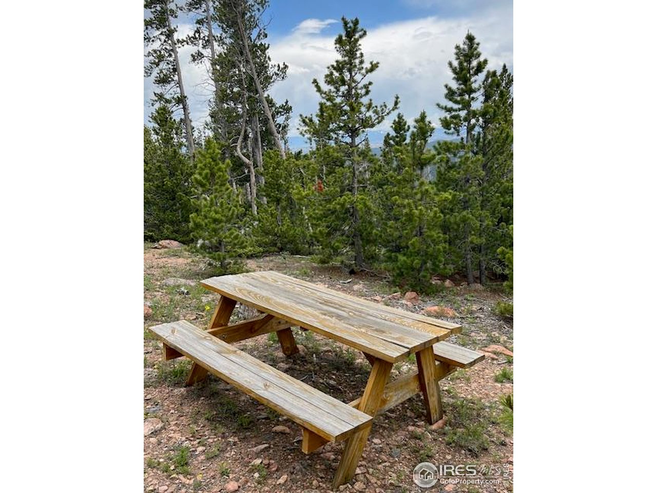 0 Bear Gulch Road Red Feather Lakes, CO 80545 - Photo 12 of 34 a view of a bench in the backyard of a house
