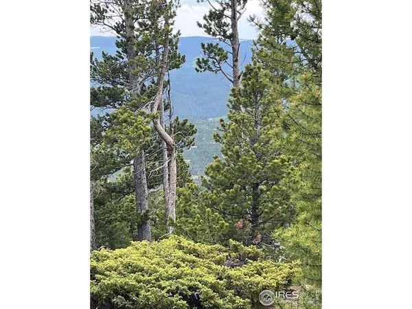 a view of a bunch of trees