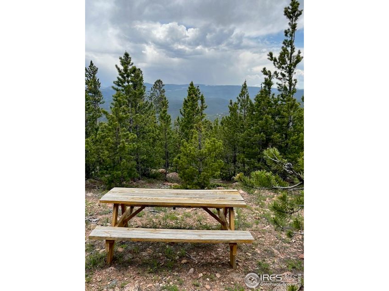 0 Bear Gulch Road Red Feather Lakes, CO 80545 - Photo 14 of 34 a view of a bench in the backyard