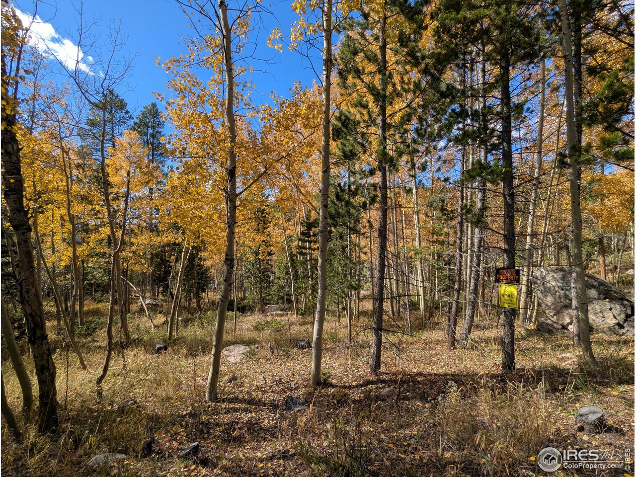 0 Bear Gulch Road Red Feather Lakes, CO 80545 - Photo 17 of 34 a view of a yard
