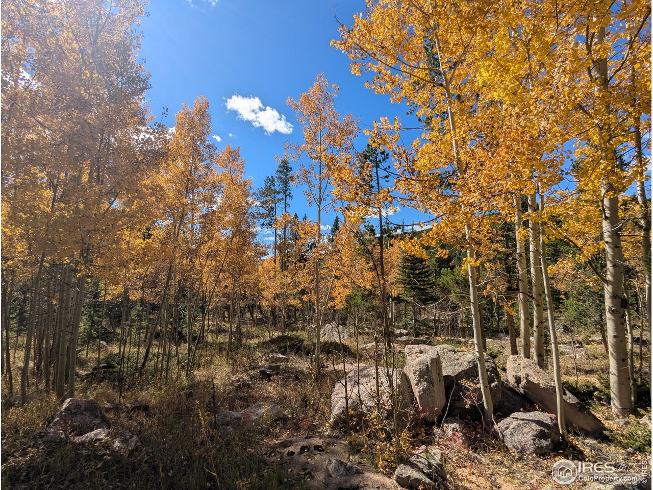 0 Bear Gulch Road Red Feather Lakes, CO 80545 - Photo 18 of 34 a view of a city