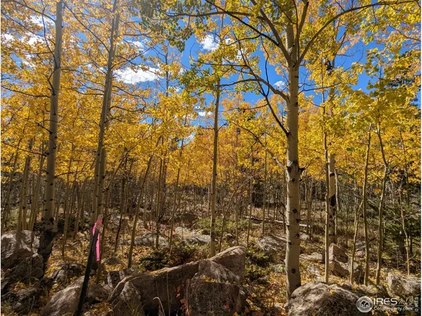 $649,000 | 0 Bear Gulch Road, Red Feather Lakes, CO 80545