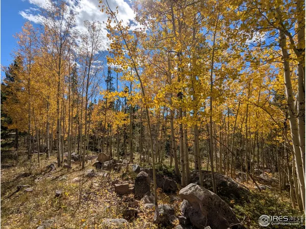 $649,000 | 0 Bear Gulch Road, Red Feather Lakes, CO 80545